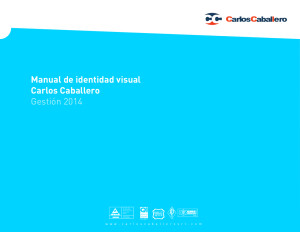 Manual de Identidad Visual